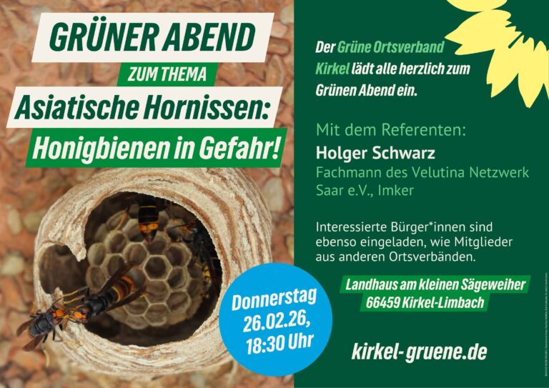 Asiatische Hornissen: Honigbienen in Gefahr!